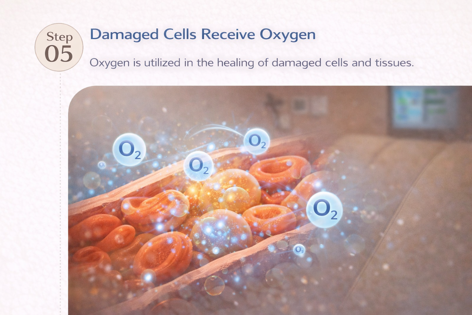 Step 5 - Damaged Cells Receive Oxygen